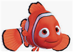 nemo